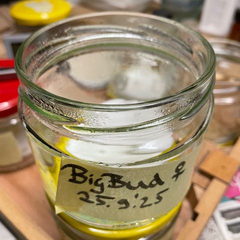 Big Bud by KilliczGe growlog photo