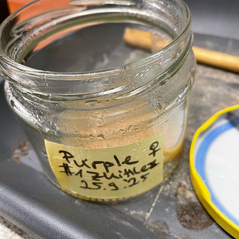 Purple Zkittlez #1 by KilliczGe growlog photo