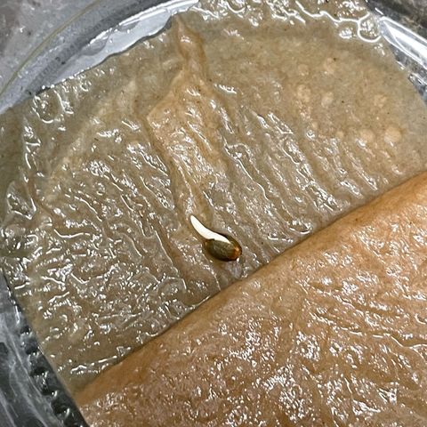 Purple Zkittlez #1 by KilliczGe growlog photo