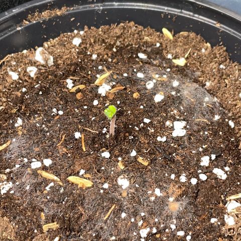 Permanent Marker by KilliczGe growlog photo