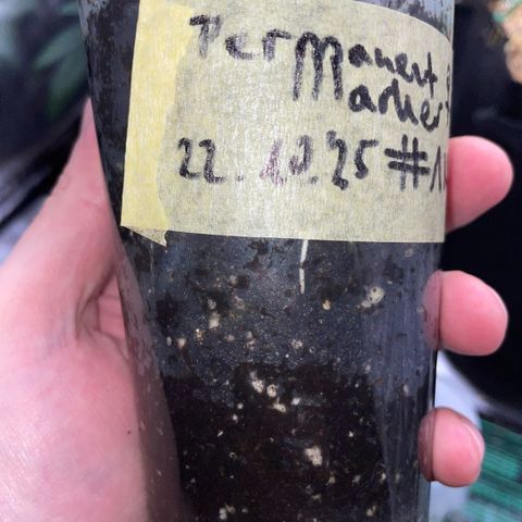 Permanent Marker 1 Klon 1 by KilliczGe growlog timeline photo