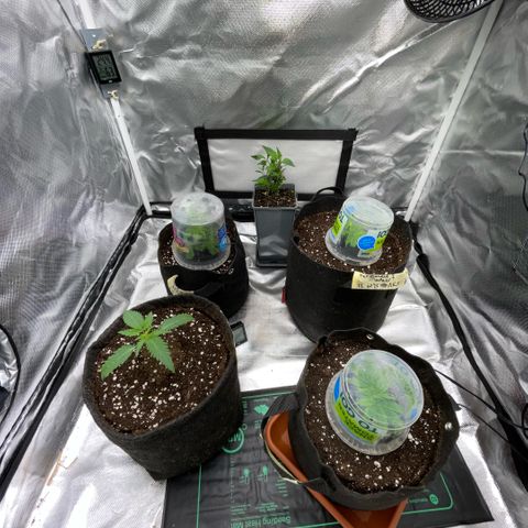 Dante’s Inferno - Mile High Dave by KilliczGe growlog timeline photo