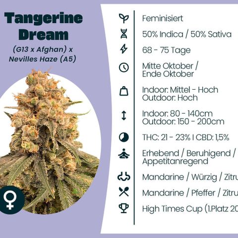 Tangerine Dream Clon #1 by KilliczGe growlog timeline photo