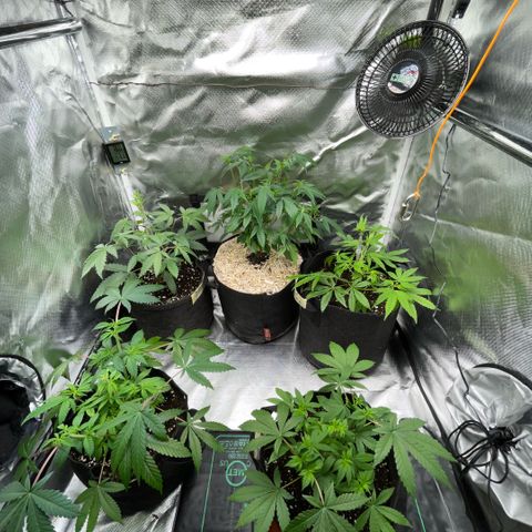 Dante’s Inferno - Mile High Dave by KilliczGe growlog timeline photo