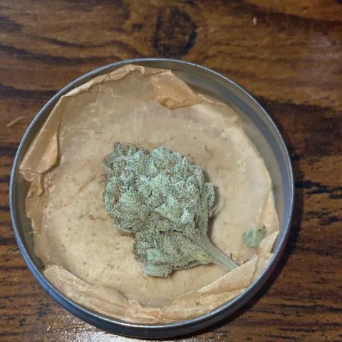 White Widow Automatic by KilliczGe growlog timeline photo