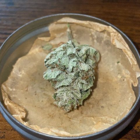 White Widow Automatic by KilliczGe growlog timeline photo