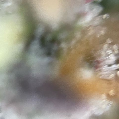 Permanent Marker by KilliczGe growlog timeline photo