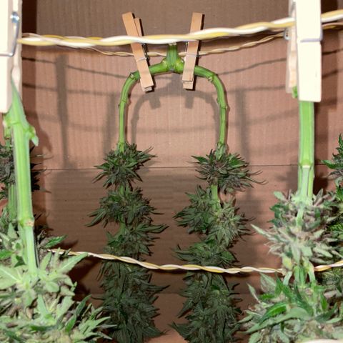 Permanent Marker by KilliczGe growlog timeline photo