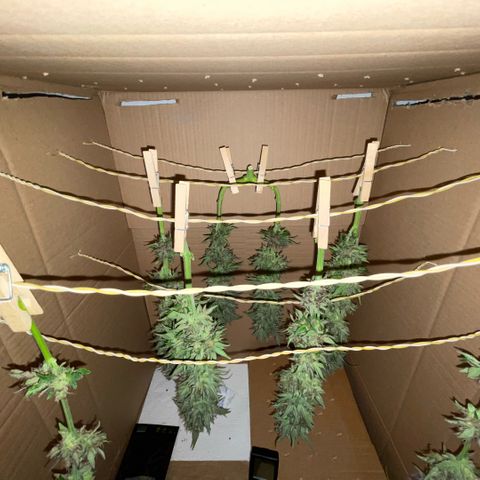 Permanent Marker by KilliczGe growlog timeline photo