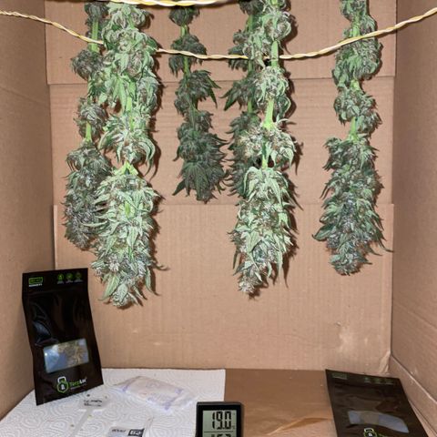 Permanent Marker by KilliczGe growlog timeline photo