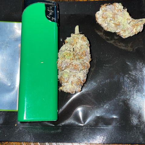 Cereal Milk #3 by KilliczGe growlog timeline photo