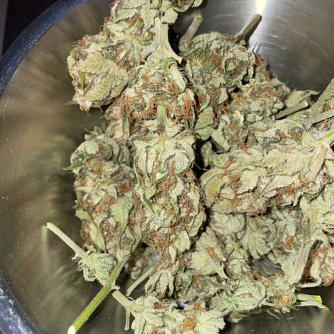 Purple Zkittlez #1 by KilliczGe growlog timeline photo