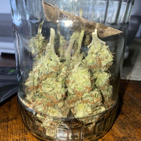 Purple Zkittlez #1 by KilliczGe growlog timeline photo