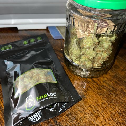 Purple Zkittlez #1 by KilliczGe growlog timeline photo