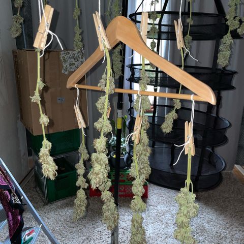 Permanent Marker by KilliczGe growlog timeline photo