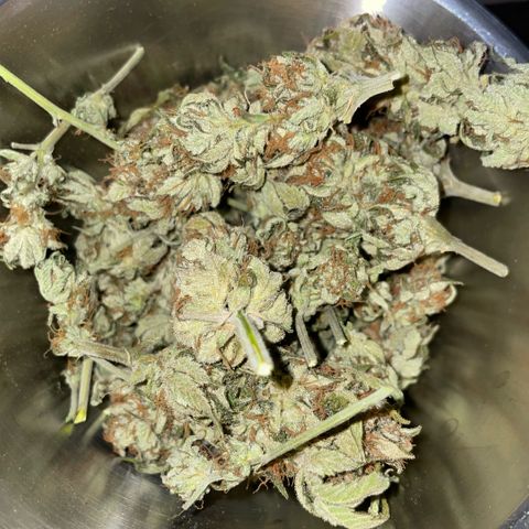 Purple Zkittlez #1 by KilliczGe growlog timeline photo