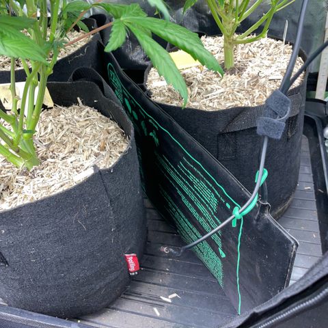 Dante’s Inferno - Mile High Dave by KilliczGe growlog timeline photo