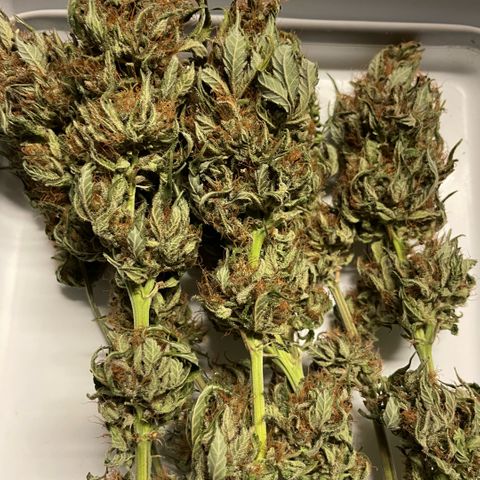 Permanent Marker by KilliczGe growlog timeline photo