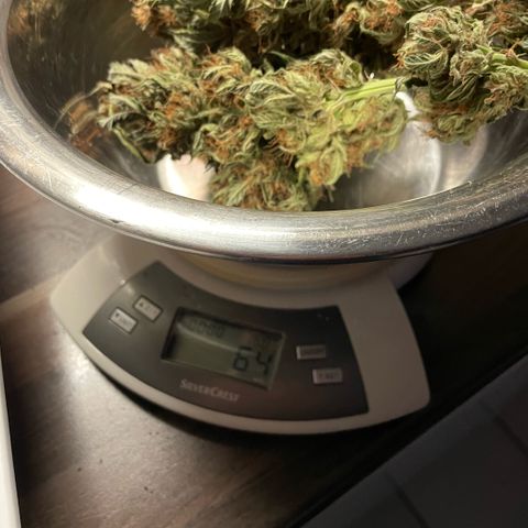 Permanent Marker by KilliczGe growlog timeline photo