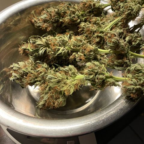 Permanent Marker by KilliczGe growlog timeline photo