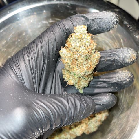 Purple Zkittlez #2 by KilliczGe growlog timeline photo