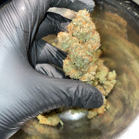 Purple Zkittlez #2 by KilliczGe growlog timeline photo