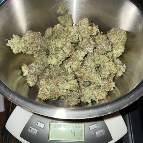Big Bud by KilliczGe growlog timeline photo