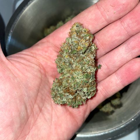Big Bud by KilliczGe growlog timeline photo