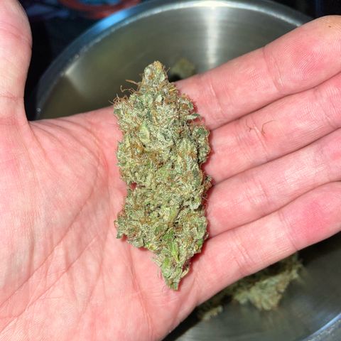 Big Bud by KilliczGe growlog timeline photo