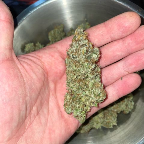 Big Bud by KilliczGe growlog timeline photo