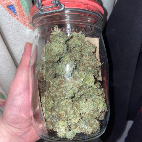 Big Bud by KilliczGe growlog timeline photo