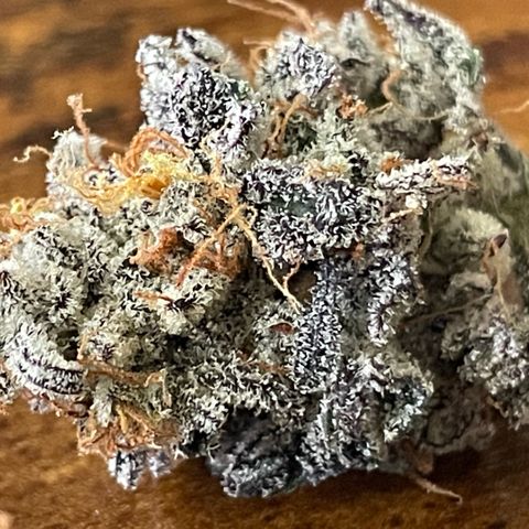 Dante’s Inferno - Mile High Dave by KilliczGe growlog timeline photo