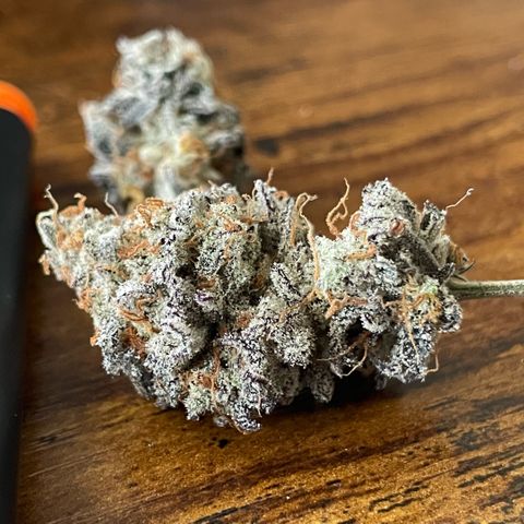 Dante’s Inferno - Mile High Dave by KilliczGe growlog timeline photo