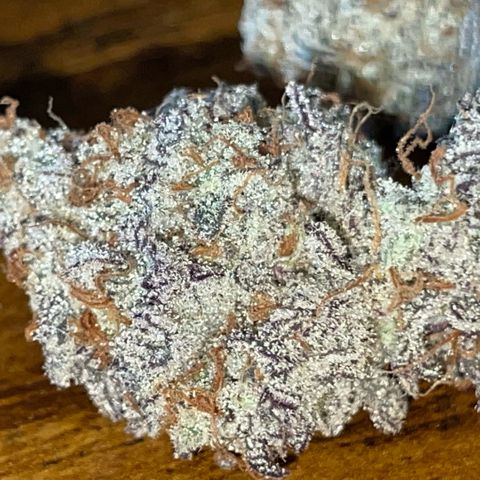 Dante’s Inferno - Mile High Dave by KilliczGe growlog timeline photo