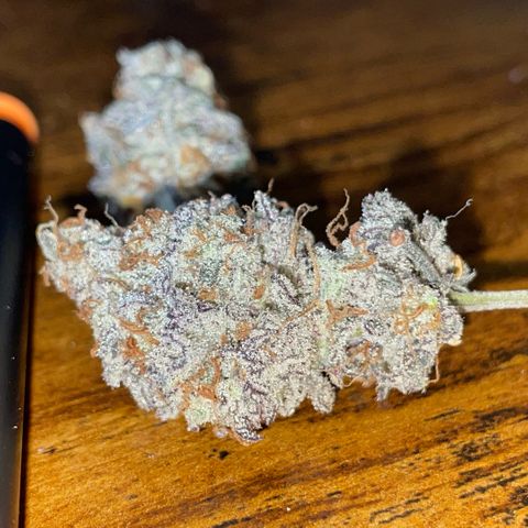 Dante’s Inferno - Mile High Dave by KilliczGe growlog timeline photo