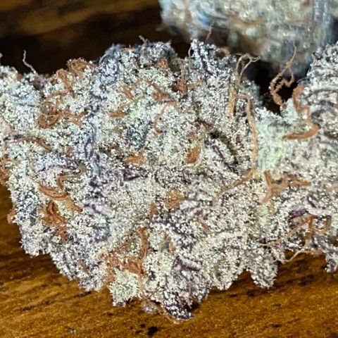 Dante’s Inferno - Mile High Dave by KilliczGe growlog timeline photo