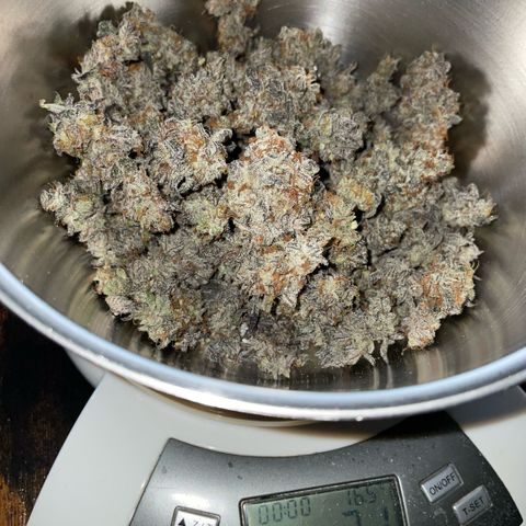 Dante’s Inferno - Mile High Dave by KilliczGe growlog timeline photo