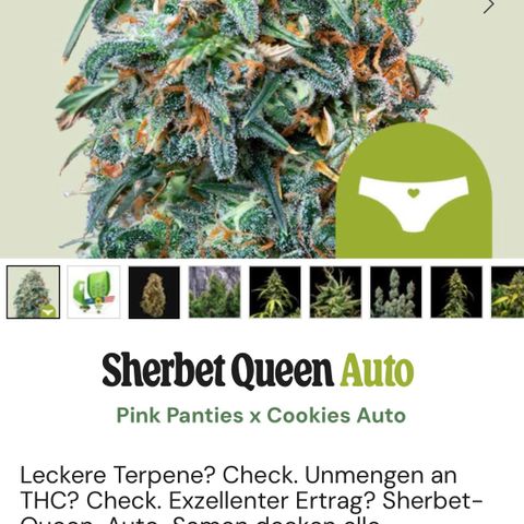 Sherbet Queen Auto by KilliczGe  growlog timeline photo