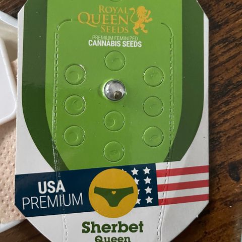 Sherbet Queen Auto by KilliczGe  growlog timeline photo