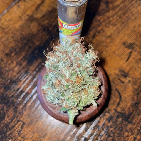 Big Bud 1 Klon 1 by KilliczGe growlog timeline photo