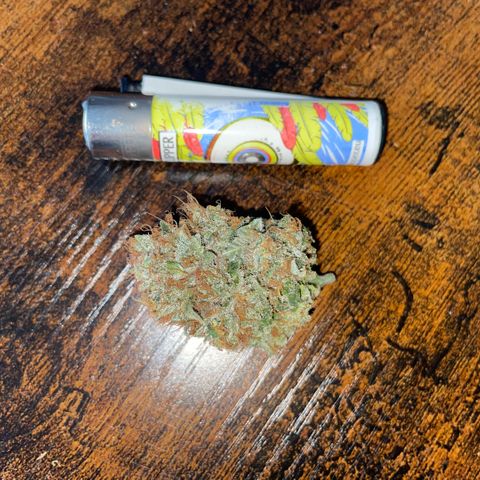 Big Bud 1 Klon 1 by KilliczGe growlog timeline photo