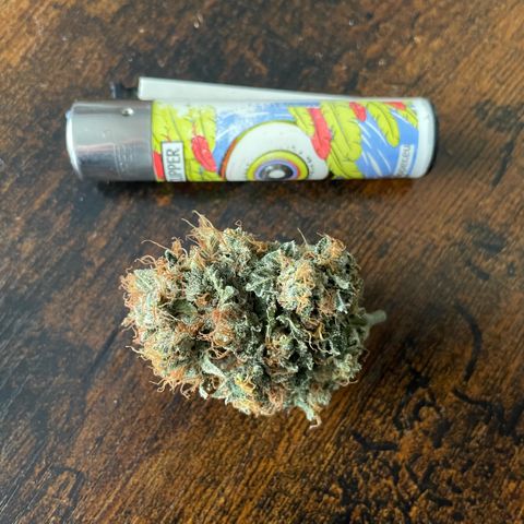 Big Bud 1 Klon 1 by KilliczGe growlog timeline photo