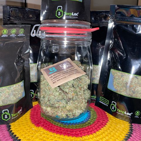 Big Bud 1 Klon 1 by KilliczGe growlog timeline photo