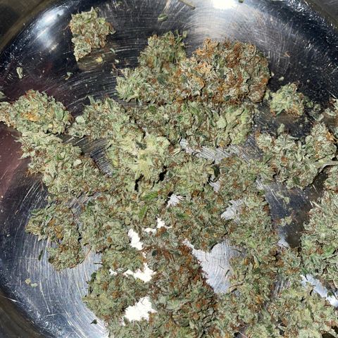 Big Bud 1 Klon 1 by KilliczGe growlog timeline photo