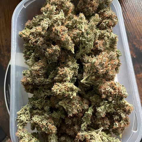 Tangerine Dream Clon #1 by KilliczGe growlog timeline photo