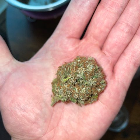 Tangerine Dream Clon #1 by KilliczGe growlog timeline photo