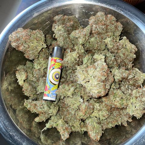 Tangerine Dream Clon #1 by KilliczGe growlog timeline photo