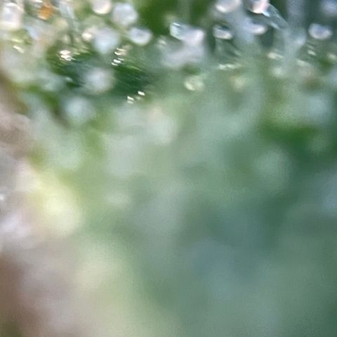 Grape Soda Auto - by KilliczGe growlog timeline photo