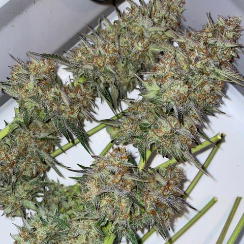 Wedding Cake Auto by KilliczGe growlog timeline photo