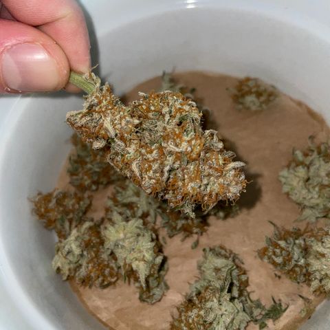 Wedding Cake Auto by KilliczGe growlog timeline photo